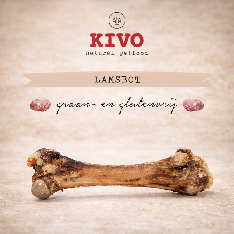 Kivo – Os d’agneau pour chien