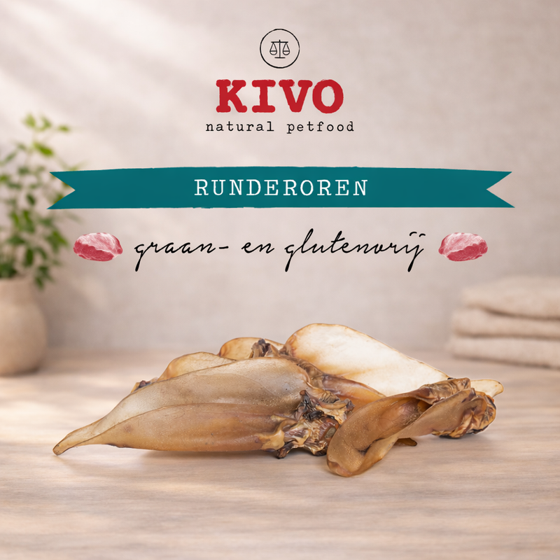 Kivo – Oreilles de bœuf pour chien
