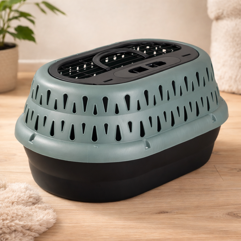 Petmate – Cage de transport Top Load vert perle givrée pour chat
