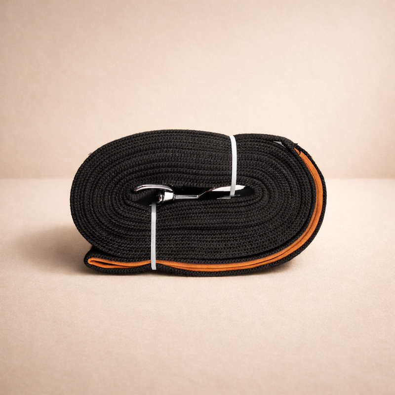Pawise – Laisse d’entraînement longue pour chien