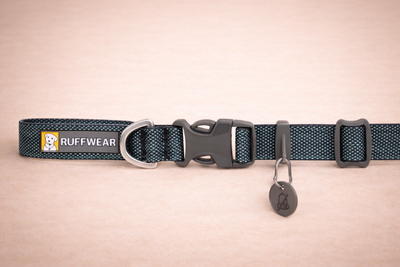 Hi & Light Basalt Gray – Collier Léger et Résistant pour Chien