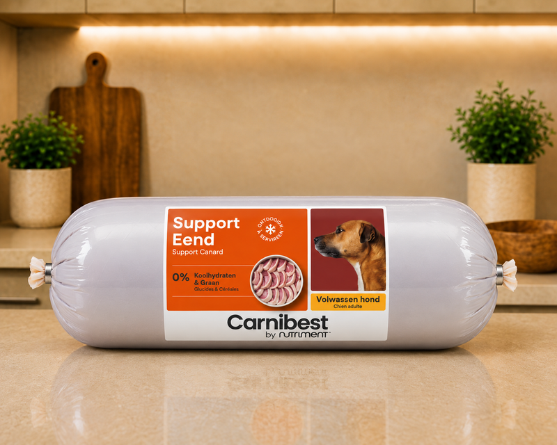 Carnibest Support – Canard pour Chien