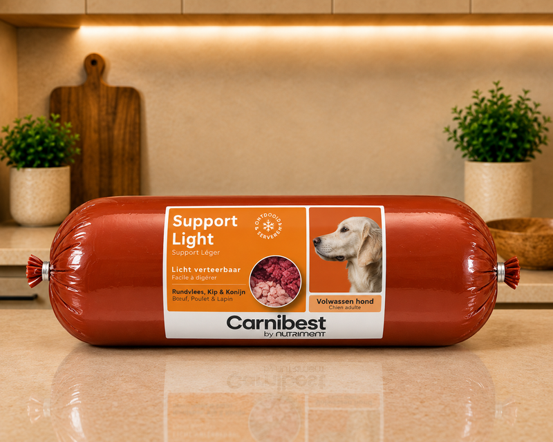 Carnibest Support Light pour Chien