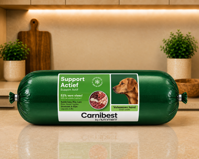 Carnibest Support Actif pour Chien